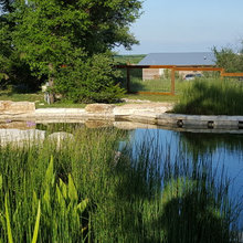 Landscape Ideas