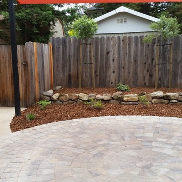 Drought Tolerant