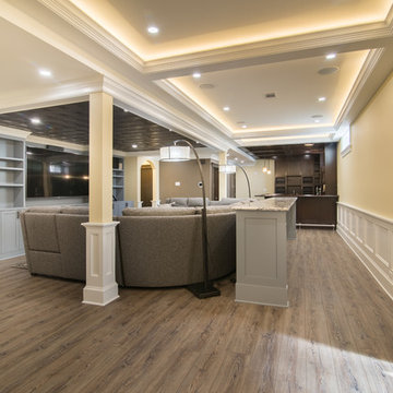 Downers Grove Basement Remodel