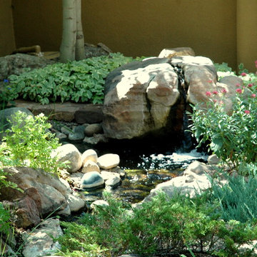 Peaceful Bliss