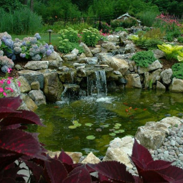 How to Protect Your Pond Fish From Attack (Long Island/NY)