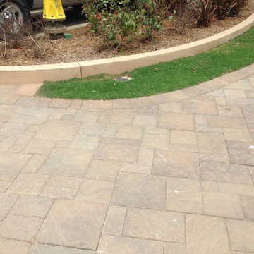 Ziani - La Jolla
