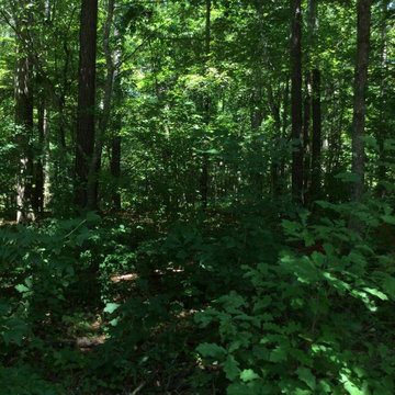 Private Estate Lot