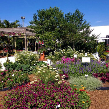 Costa Farms Season Premiere Garden