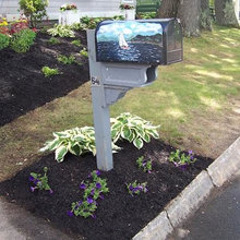 Fisher Curb Appeal