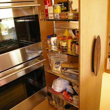 Friedland residence