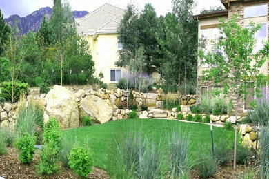 Design ideas for a mid-sized transitional drought-tolerant and full sun front yard mulch landscaping in Denver.