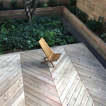 Prospect Heights Backyard