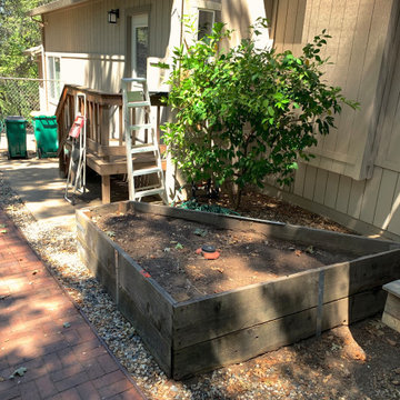 Shingle Springs Back Yard
