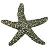 Starfish Knob, Brushed Natural Pewter