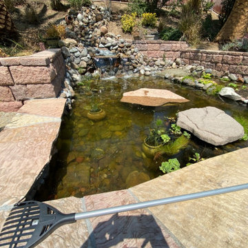 Turtle Pond with Beach and Wetland Filter