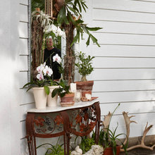 Country Shed