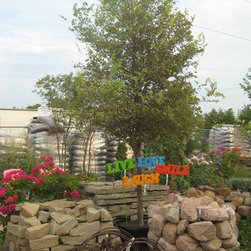 Fall Auction - Outdoor Products
