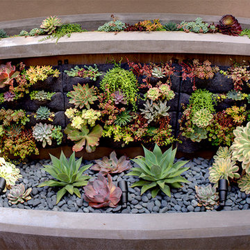 Lighting Brings These Succulents To Life At Night