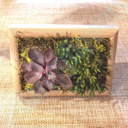 Picture frames - Products