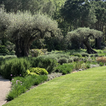 Jardin provençal crée en 2019