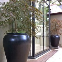 Shade gardens for small places