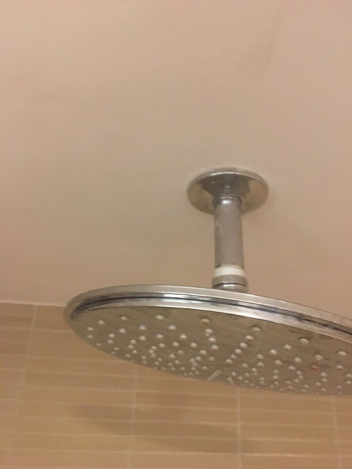 Rain shower head not wanted