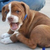 Diane Kur's photo