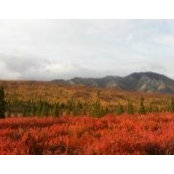 Sally Hilfiger's photo