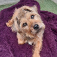 Stonecoat Ltd's profile photo