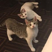 Susan Davis's photo