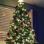 Matthew O'Malia's photo