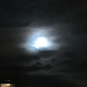 Sahil Guptas billede