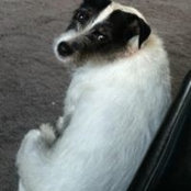Jetta Meeks's photo