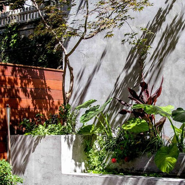 Fort Greene Modern Garden