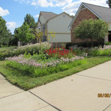 Compilation of Rain Garden Projects
