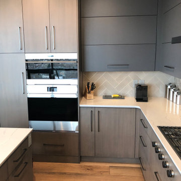 Downtown Denver High Rise Kitchen Renovation
