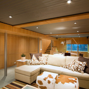 フィラデルフィアの大きいミッドセンチュリースタイルのおしゃれな地下室 (半地下 (窓あり) 、茶色い壁、カーペット敷き、暖炉なし、緑の床) の写真