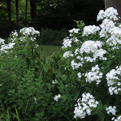 Cottage Garden - Landscape Lighting