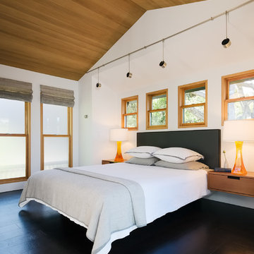 Cow Hollow House