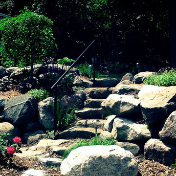 Backyard Landscapes