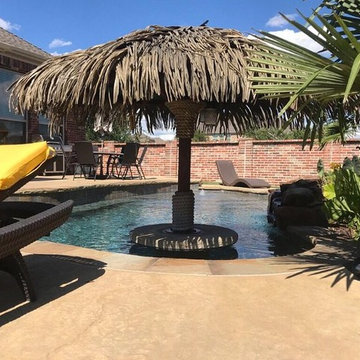 Stone Palapa (3 Years old)