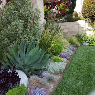 Colorful front yard