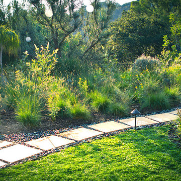 Butterfly Meadow - Back Yard