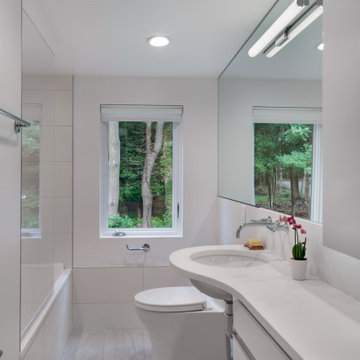 Wayland MA Modern Transformation