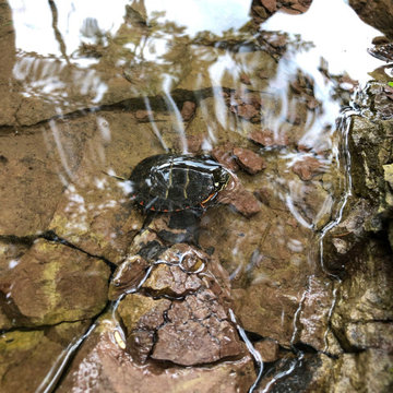 Water Management and Erosion Control