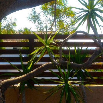 Pacific Beach- Outdoor kitchen
