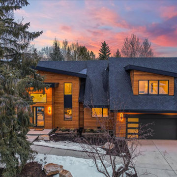 Park Meadows Remodel