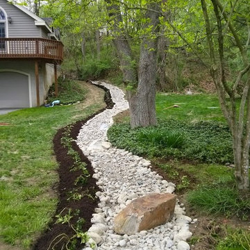 Dry Stream Bed