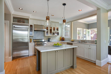 Kitchen - transitional kitchen idea in Houston