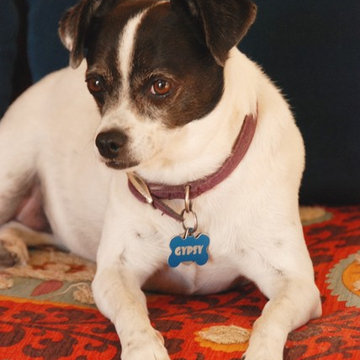 My Houzz: Cal Heights Spanish