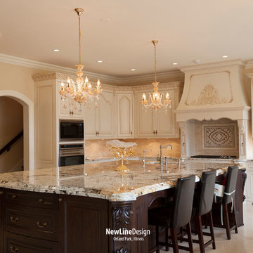Oak Brook New Construction