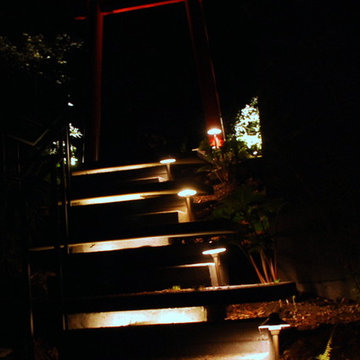 Bamboo Garden walkways