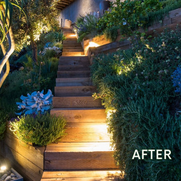 Hillside Transformation