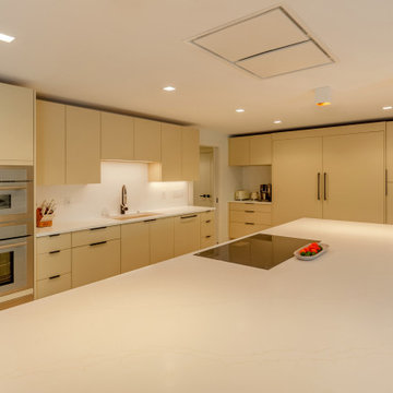 Contemporary Minimalist Kitchen with Sleek Built-In Features